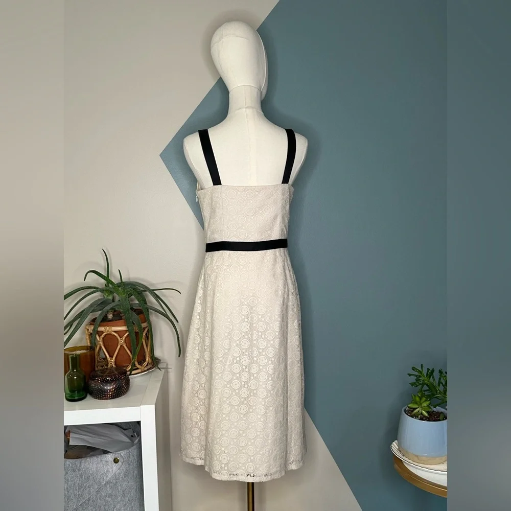 Ann Taylor LOFT 4P Petites Lace Fit & Flare Dress White Black Trim Midi - Picture 5 of 11